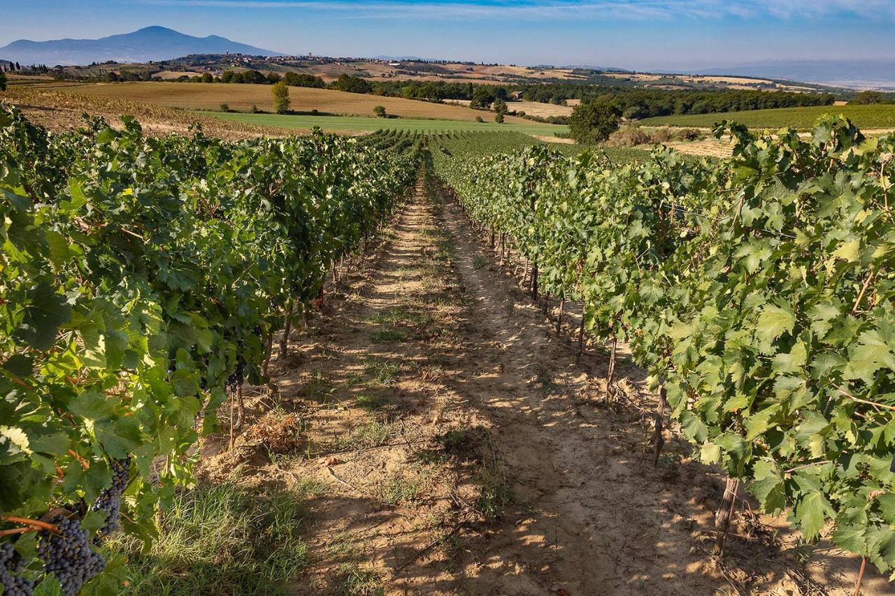 Vila Palazzo Massaini - La Pieve Pienza Exteriér fotografie